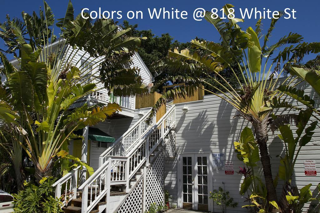 Colors On White Apartment Key West Exterior photo